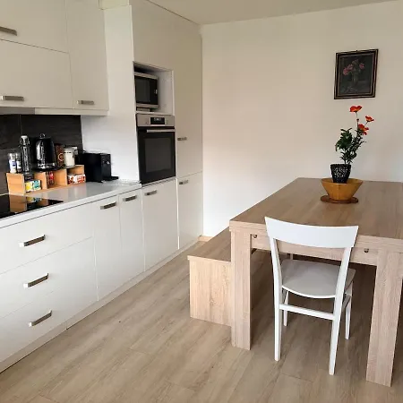 Winterzeit Thunersee&mountainview Apartment *