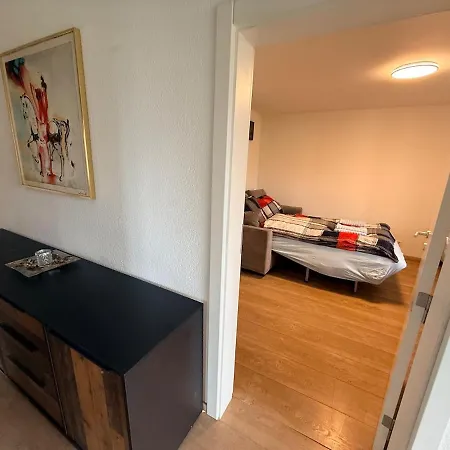 Winterzeit Thunersee&mountainview Apartment *